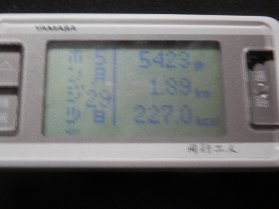 P5280033(1).JPG